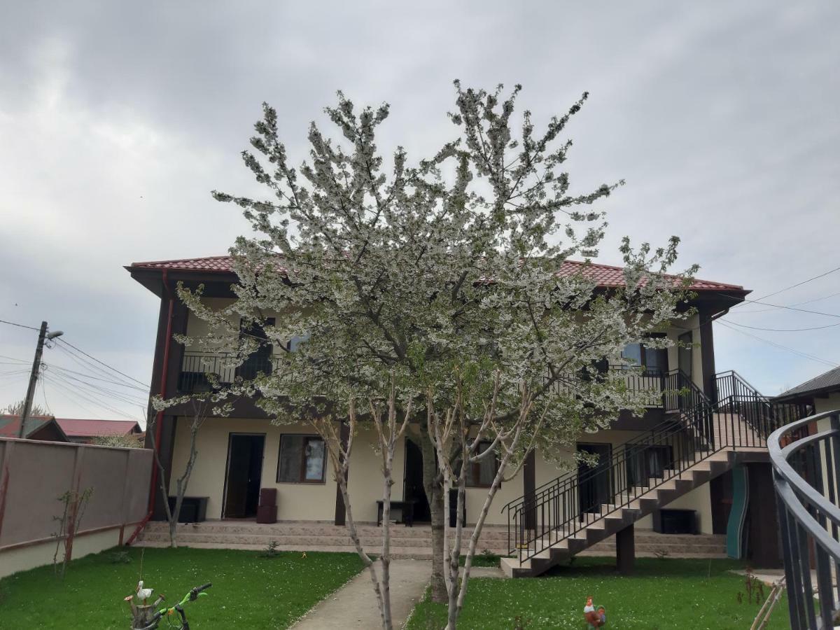 Hotel La Babusca Două Mai Exterior foto